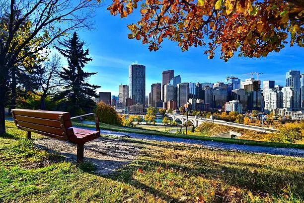 View from a park overlooking the skyline Calgary, Alberta during autumn