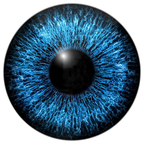 olho íris gerado textura de alta resolução - close up of iris imagens e fotografias de stock