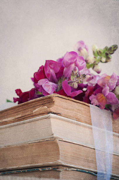 istock Rustic bouquet of snapdragon (Antirrhinum majus) on the old book 521491565