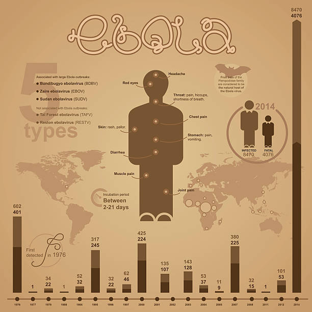 Ebola Virus Infographics vector art illustration