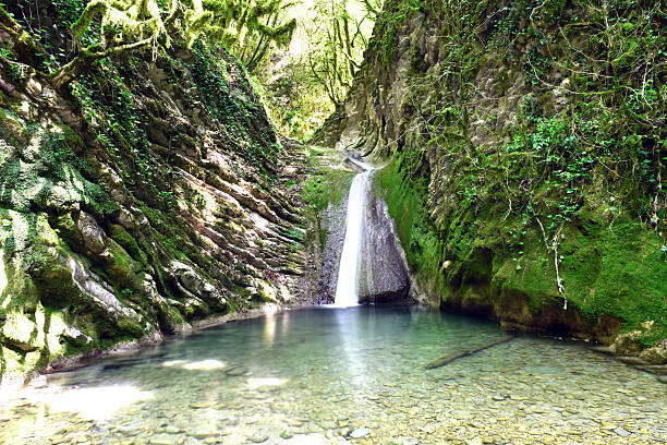 istock Beautiful, picturesque waterfall 521491728