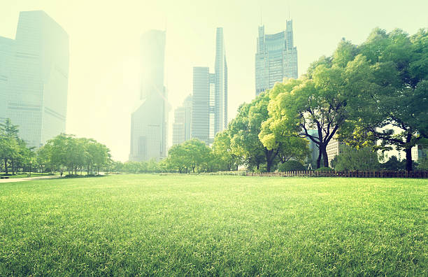 istock park in  lujiazui financial centre, Shanghai, China 521491937