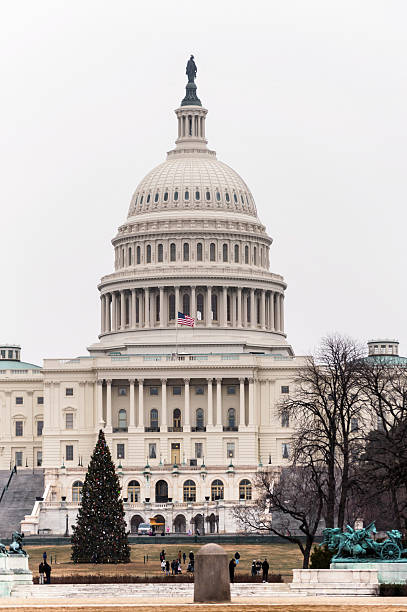 capitol building e albero di natale in washington dc - congress center foto e immagini stock