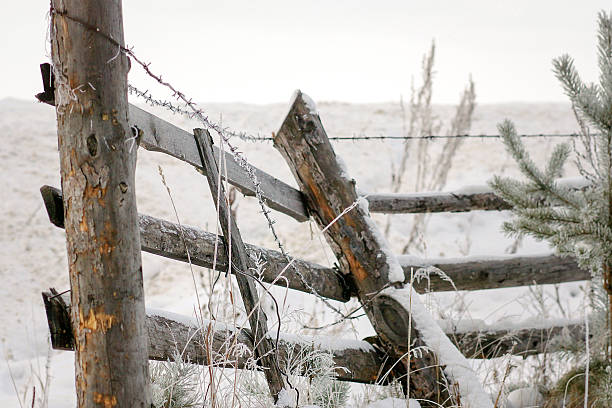 istock The old rickety fence in the winter. 521493442