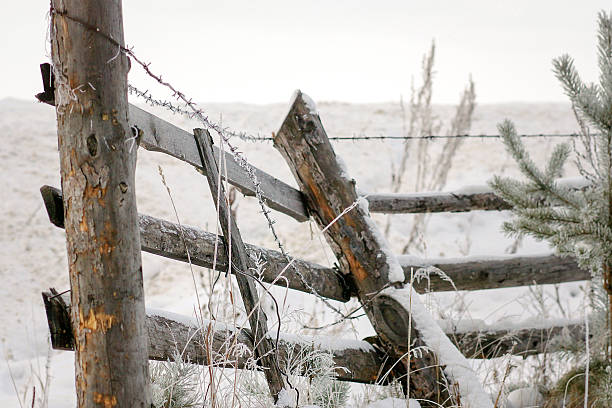 The old rickety fence in the winter. stock photo