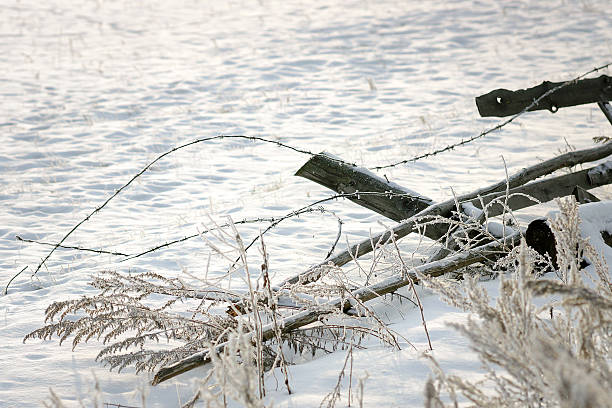 The old rickety fence in the winter. stock photo