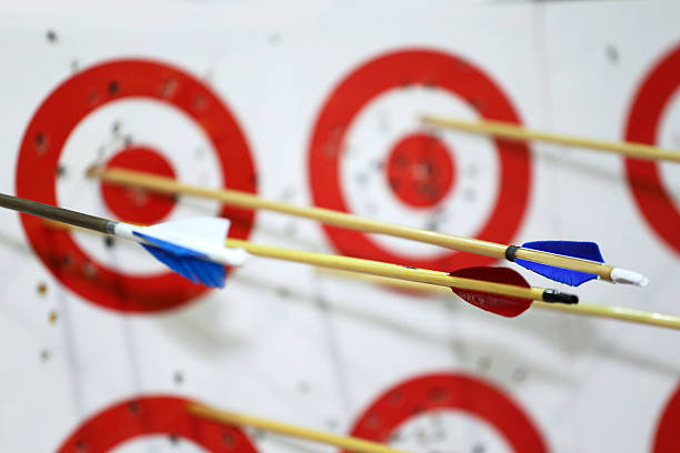 istock Targets in row on archery practice with arrows 521493998
