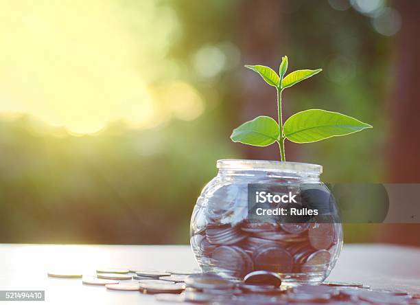 Life In The Money Stock Photo - Download Image Now - Awe, Coin, Concepts