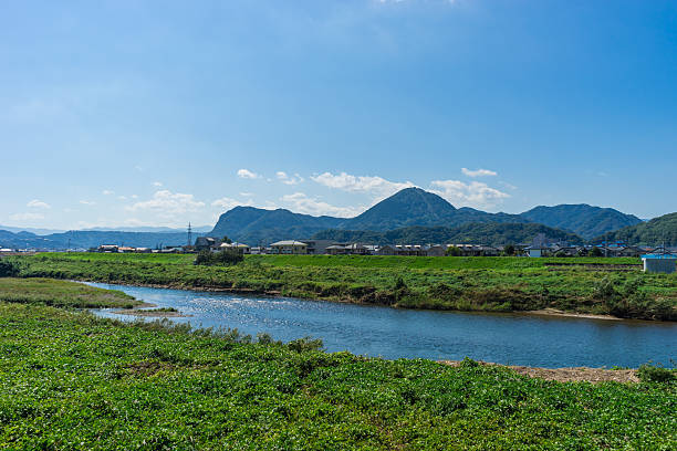 istock Scenery of the Kano River 521495214