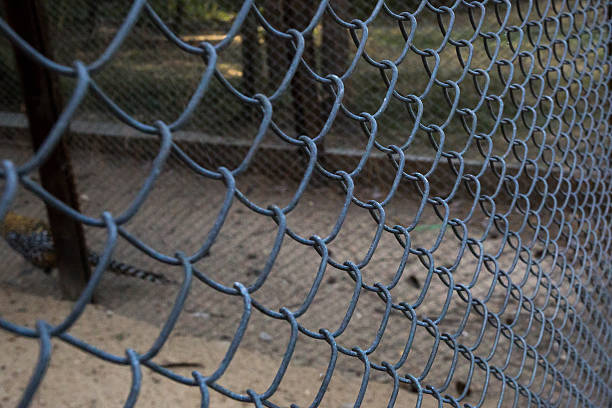 malla de metal jaula - chainlink fence fence chain turnstile fotografías e imágenes de stock