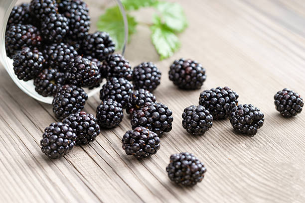 istock Blackberries in bowl on wooden background. 521496192