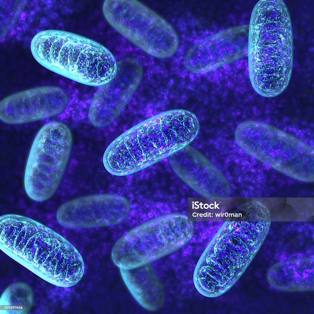 Mitochondria-Mikrobiologie - Lizenzfrei Mitochrondion Stock-Foto