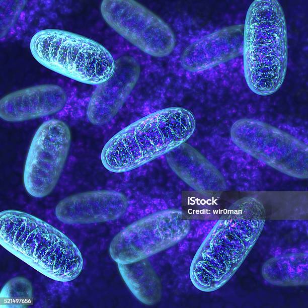 Mitocondriamicrobiología Foto de stock y más banco de imágenes de Mitocondrio - Mitocondrio, Microorganismo, Célula