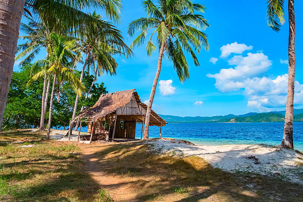 Tropical island landscape, El Nido, Palawan, Philippines, Southeast Asia