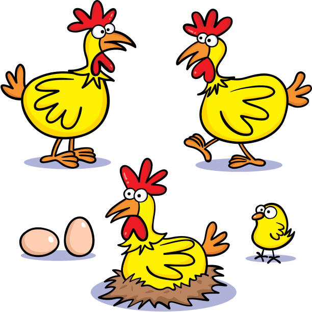 kurczak - chicken eggs animal egg cartoon stock illustrations