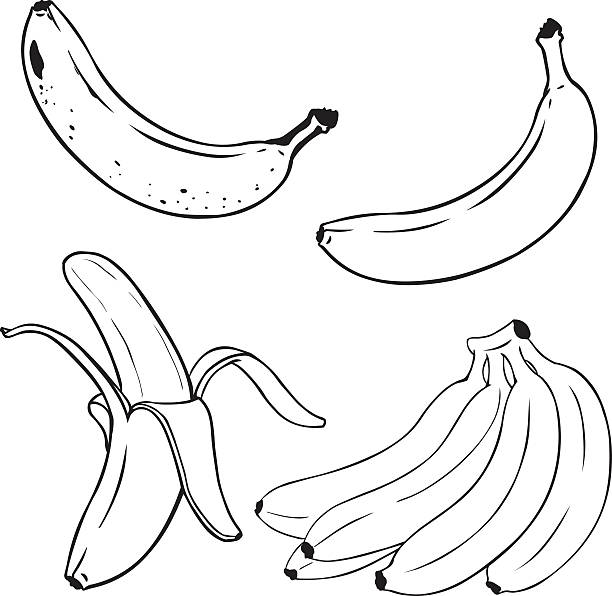 Vector Set of Line-Art Yellow Bananas. Vector Set of Line-Art Yellow Bananas. Overripe Banana, Single Banana , Peeled Banana, Bunch of Bananas. banana drawings stock illustrations