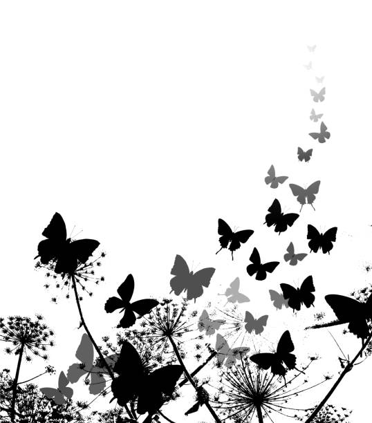 ilustrações de stock, clip art, desenhos animados e ícones de flores e borboleta - butterfly single flower vector illustration and painting