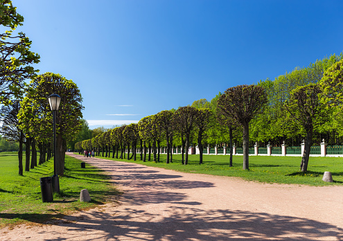 The park of Kuskovo was created in 18th century as a formal Garden Ã  la franÃ§aise.