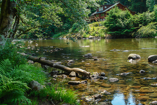 Log Home overlooks tranquil stream