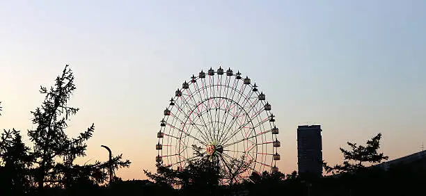 Photo of Ferris Wheel (Night view). Moscow, Russia