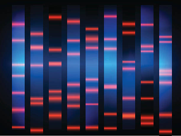 bunte medizinische-dna ergebnisse mit schwarzer hintergrund - agarose stock-grafiken, -clipart, -cartoons und -symbole