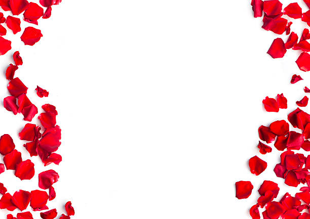 istock Romantic background of red rose petals 521527752