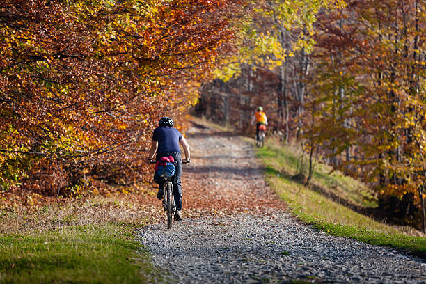 istock Mountain biker in autumn forest 521528944