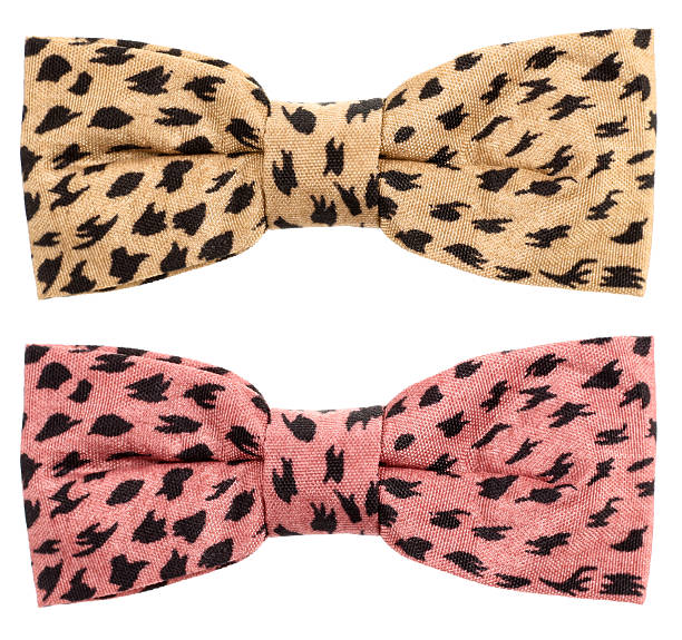 Hair Bow Tie Animal Print Beige And Pink Pattern Stock Photo - Download  Image Now - Bow Tie, Large, Necktie - iStock