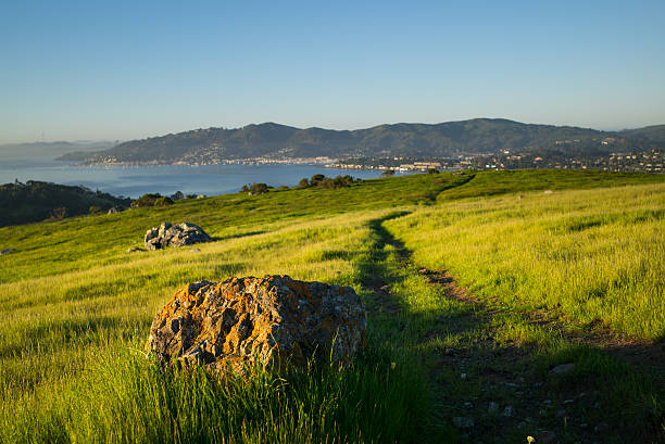 strada di montagna sul anello - marin county foto e immagini stock