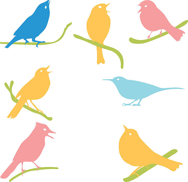 Bird Silhouettes, Vector Collection, colored silhouettes Vector Collection of Bird Silhouettes, colored silhouettes corncrake stock illustrations