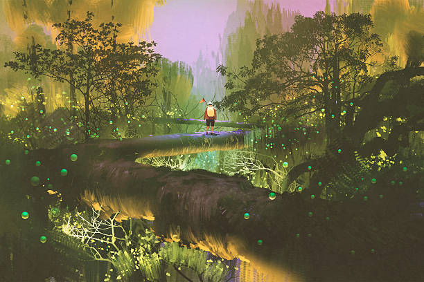 baumwipfel wandern, mann steht im fantasie wald - forest woods hiking dirt road stock-grafiken, -clipart, -cartoons und -symbole