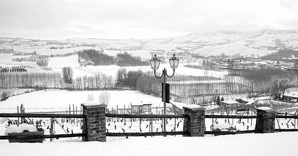 istock Langhe snowed vineyards, wintertime. Black and white photo 521535290
