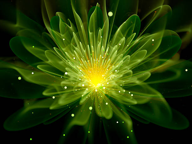 verde de flor linda fractal - natural science - fotografias e filmes do acervo