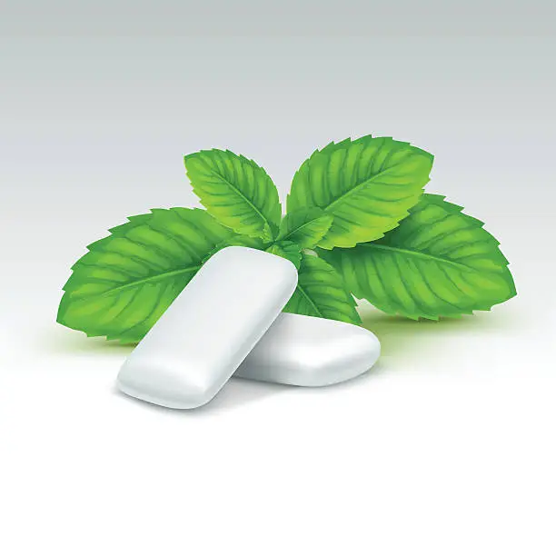 Vector illustration of Vector Chewing Gum with Fresh Mint Leaves Isolated
