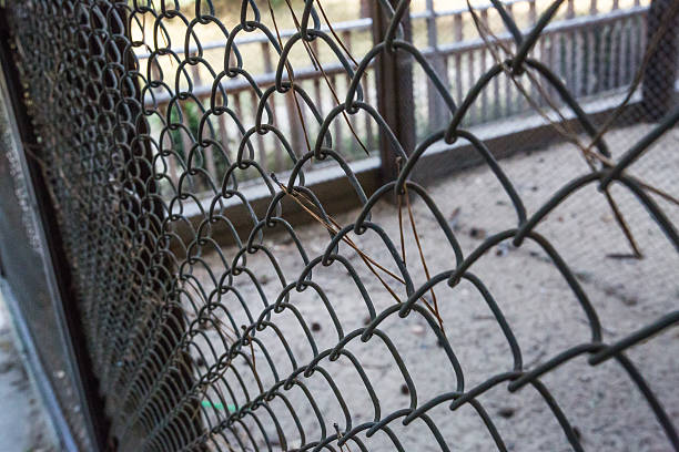 jaula de rejilla de metal - chainlink fence fence chain turnstile fotografías e imágenes de stock