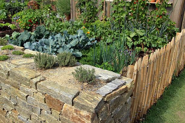 istock Herbs, vegetables and flower garden 521540104