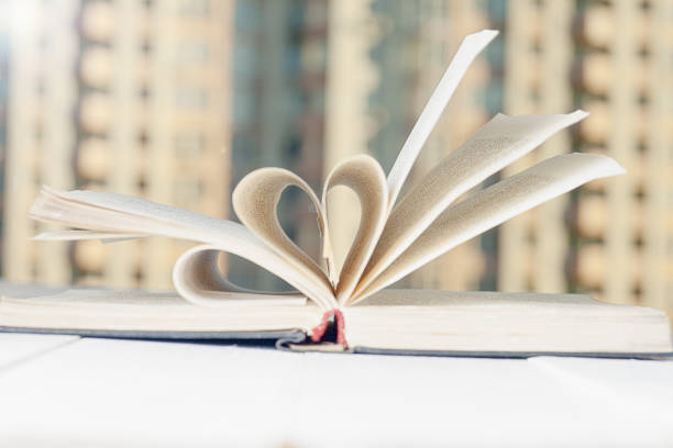 istock book in front of the window in the morning 521540318