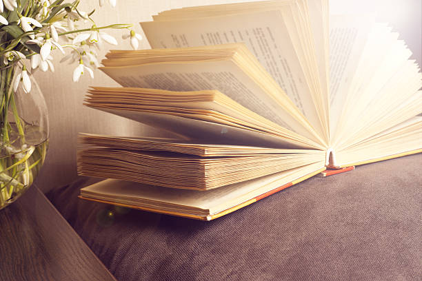 istock Open book on a pillow in bed. homeliness. 521540552