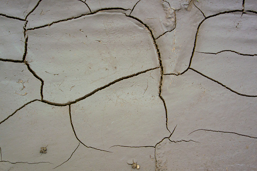 mudcracks that formed as muddy clay soil dried