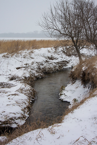 a stream flowing between snow covered agricultural fields during a snow storm in rural Iowa