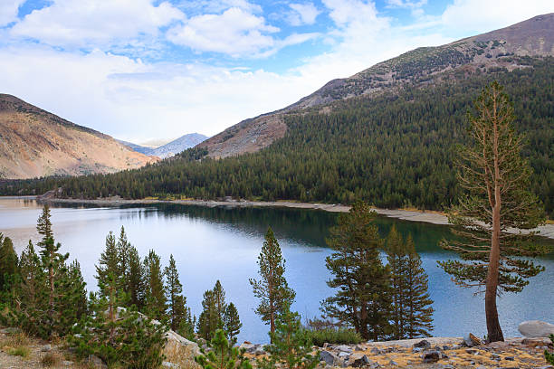 istock Panorama from Yosemite National Park 521543096