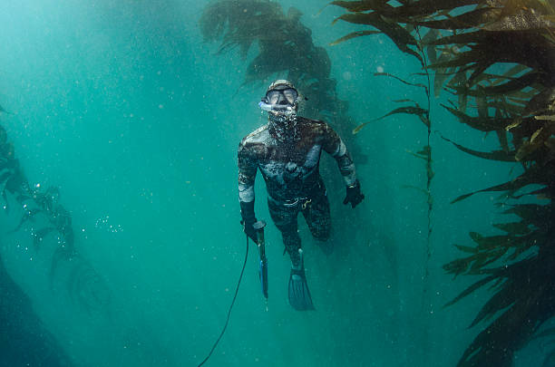 speer angeln - deep sea diving stock-fotos und bilder