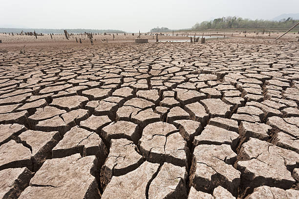 istock Cracked dry land without water 521545478