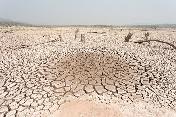 istock Cracked dry land without water 521545628