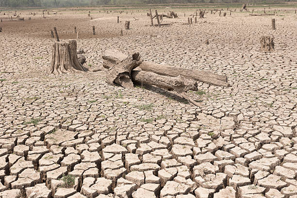 istock Cracked dry land without water 521546778