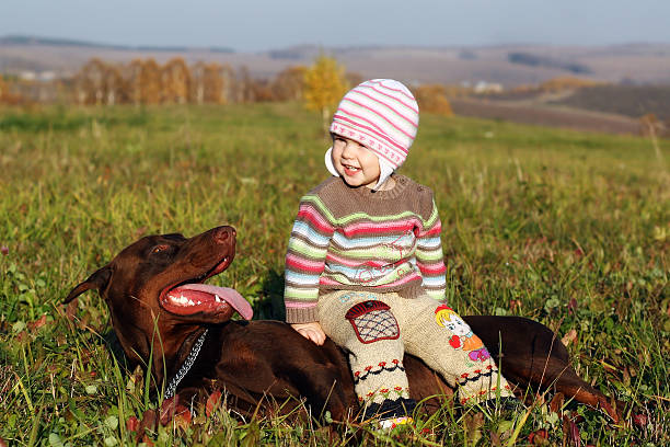 Girl sitting on the Doberman Doberman listens to a small child doberman stock pictures, royalty-free photos & images