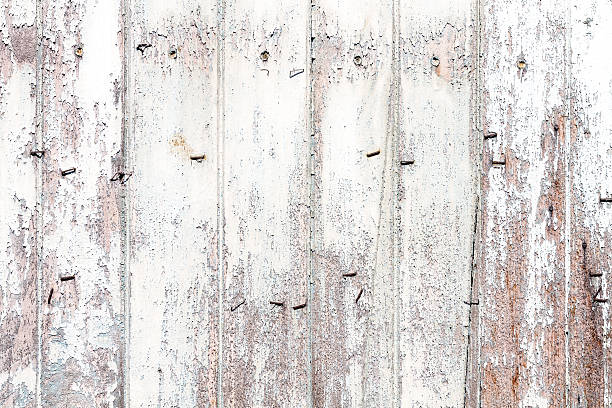 istock Old wood texture  with a tack 521549698