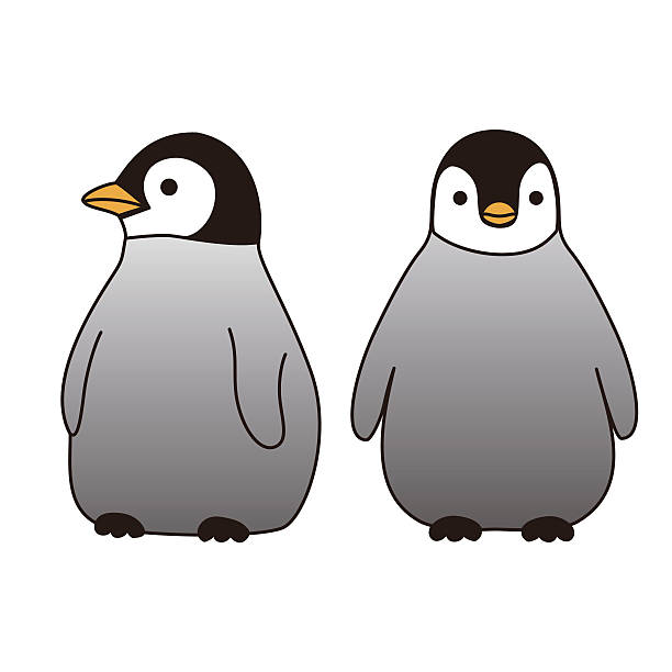 ilustrações de stock, clip art, desenhos animados e ícones de pinguim-bebé - penguin animal white background king penguin