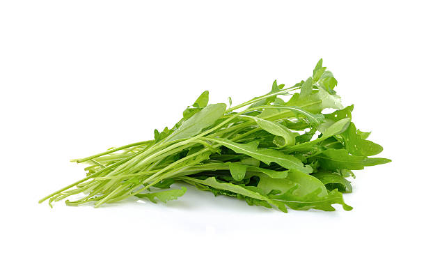 istock rocket lettuce leaves or sweet rucola salad 521551052
