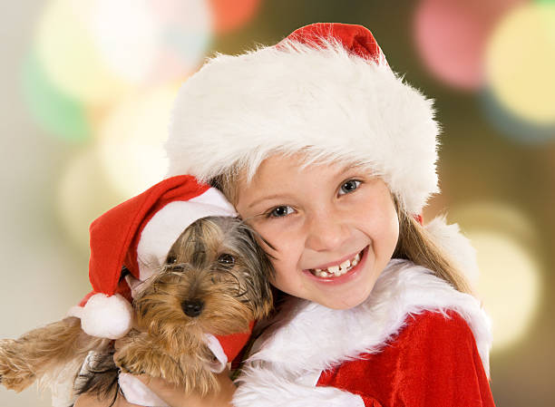 Little girl and dog at Christmas stock photo
